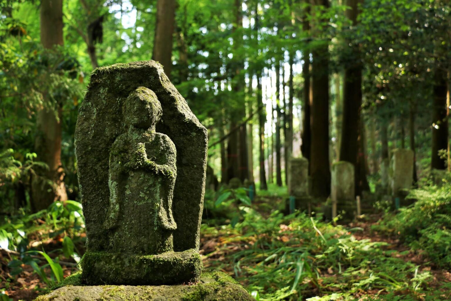 無縁仏とは？増えている理由や対策なども徹底解説 | 市原市のお墓・墓石のことなら【大地石材】
